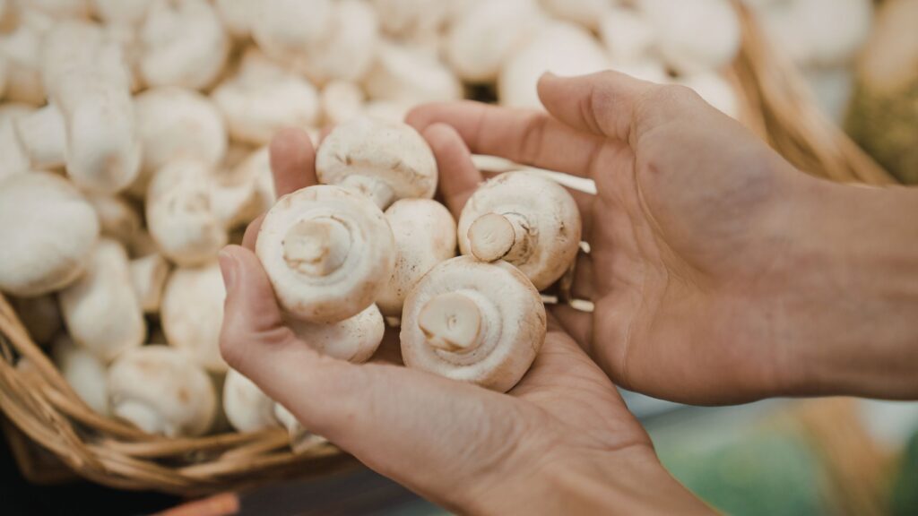 Build Income from Mushroom Farming